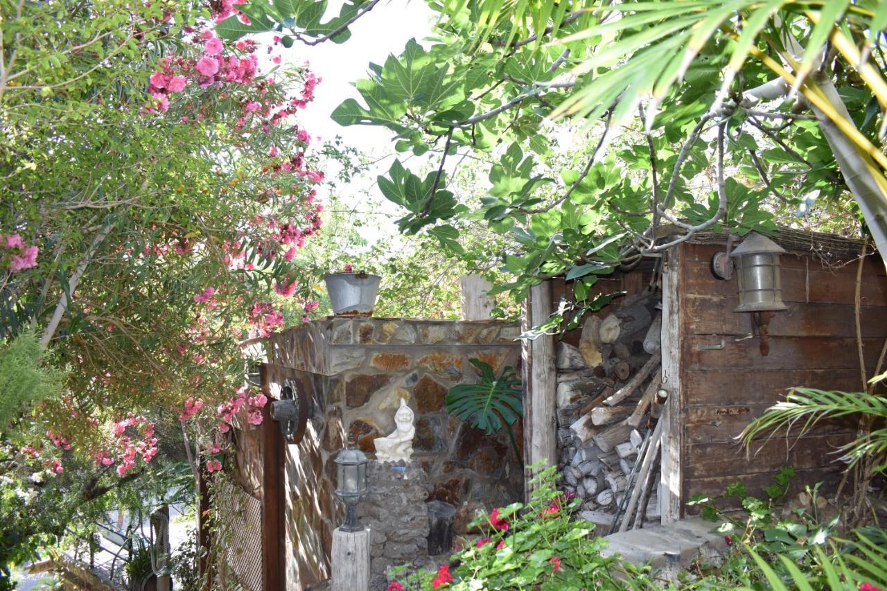 Romantica San Bartolomé Luaran gambar