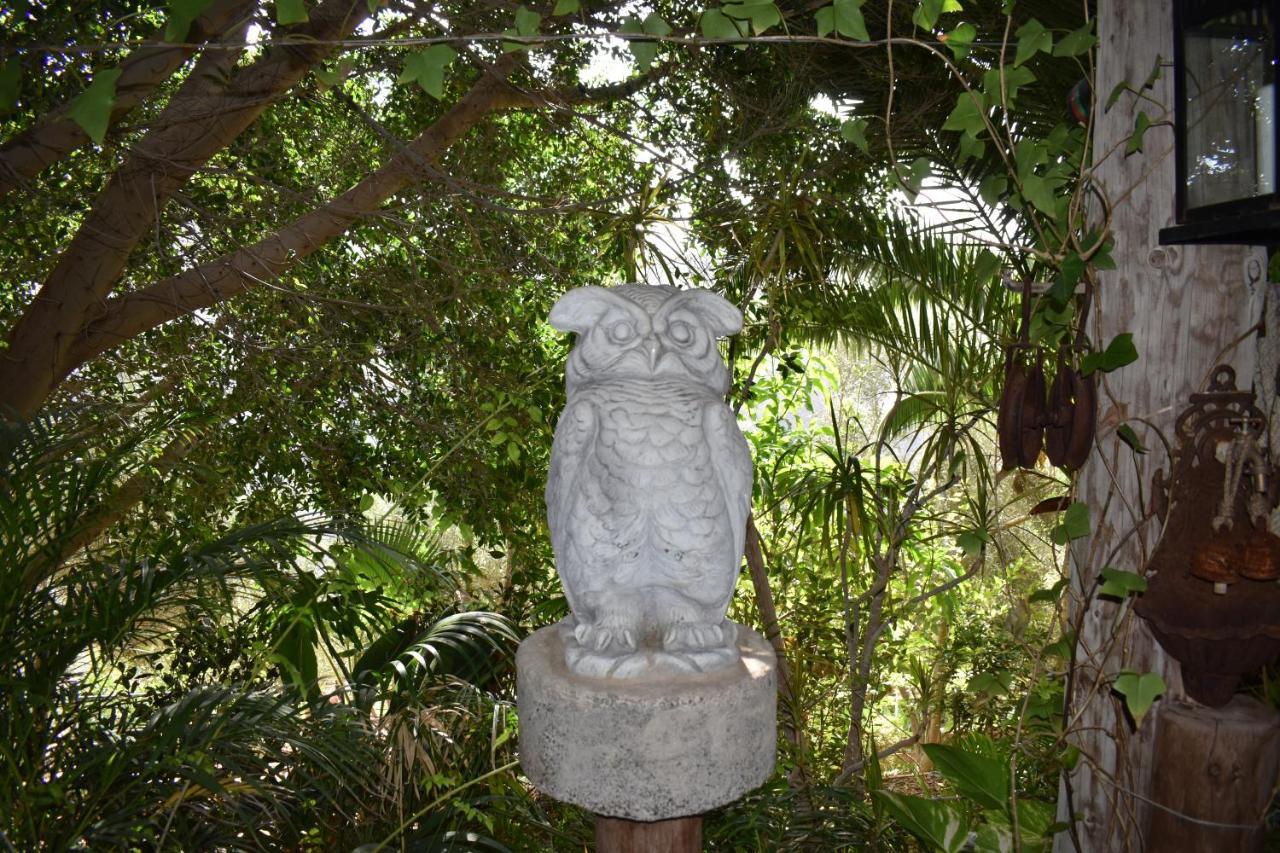Romantica San Bartolomé Luaran gambar